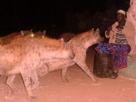 Ethiopian tour, 20 days